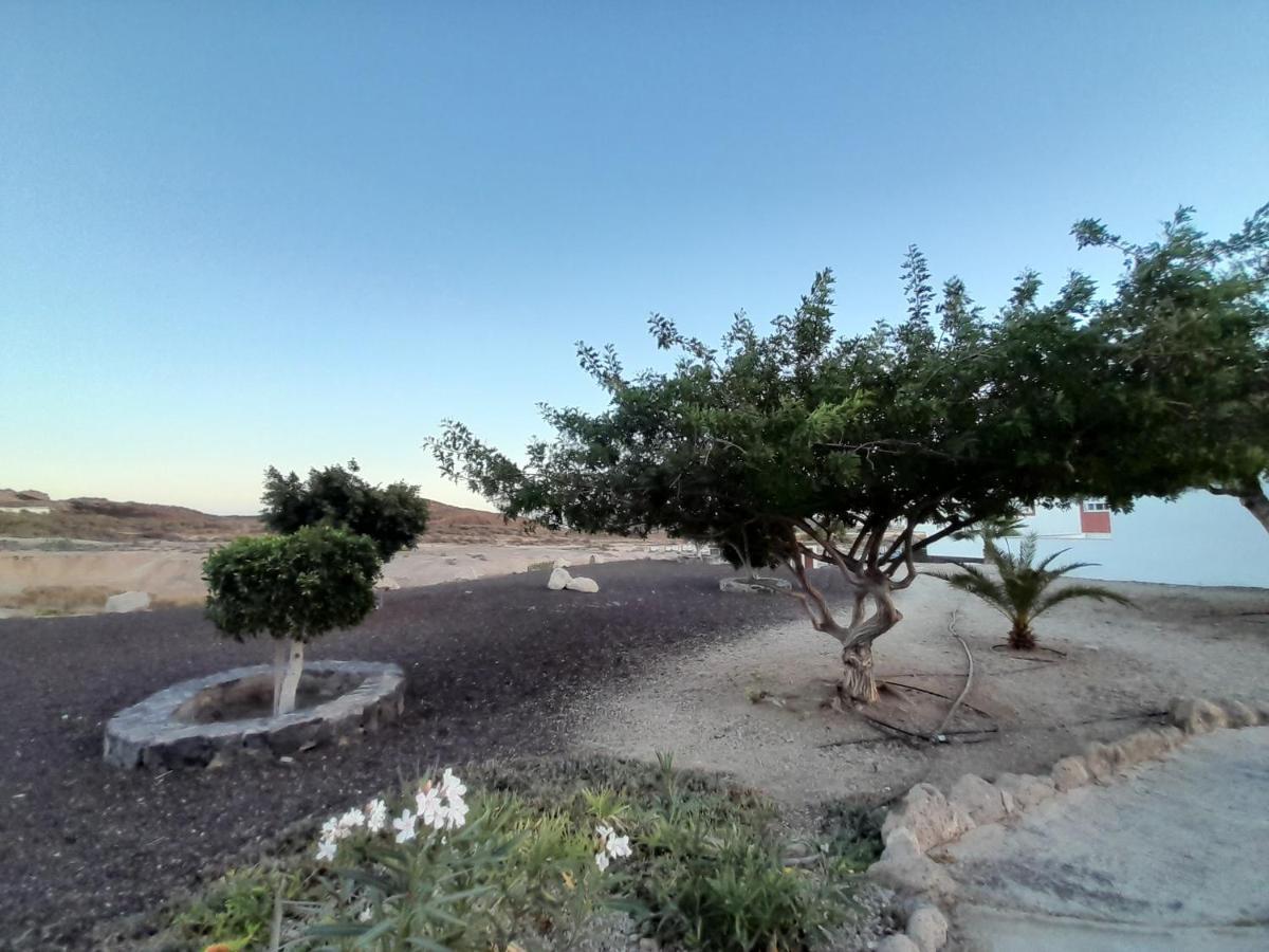 Tenerife Homestay Сан Мигел де Абона Екстериор снимка