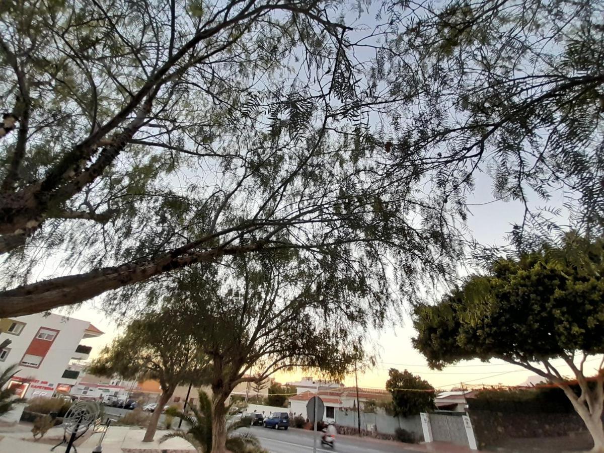 Tenerife Homestay Сан Мигел де Абона Екстериор снимка