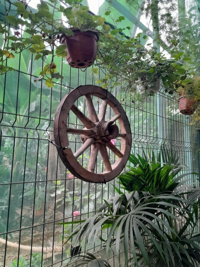 Tenerife Homestay Сан Мигел де Абона Екстериор снимка