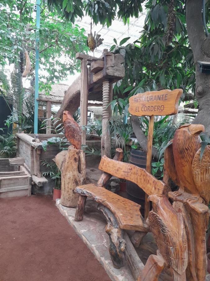 Tenerife Homestay Сан Мигел де Абона Екстериор снимка
